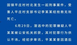 晨光村支书爆料新闻事件,揭开新闻事件背后真相